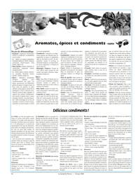 PDF/JdeP-200803%2028.pdf